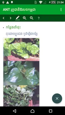 ANT Khmer Medicinal Plant 2016 android App screenshot 5